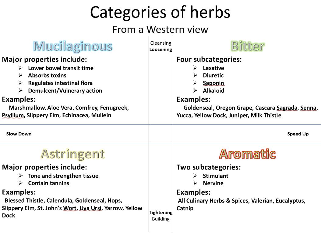 categories of herbs